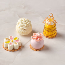 Load image into Gallery viewer, Exotic Pavlova
